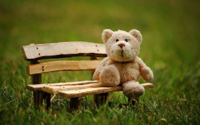 Unearth Your Next Treasure with us