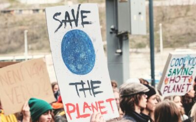 Treasures Discovered Supports a More Sustainable Future