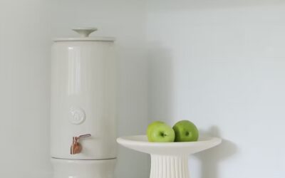 Why Ceramic Purifiers Are Trending in Aussie Homes
